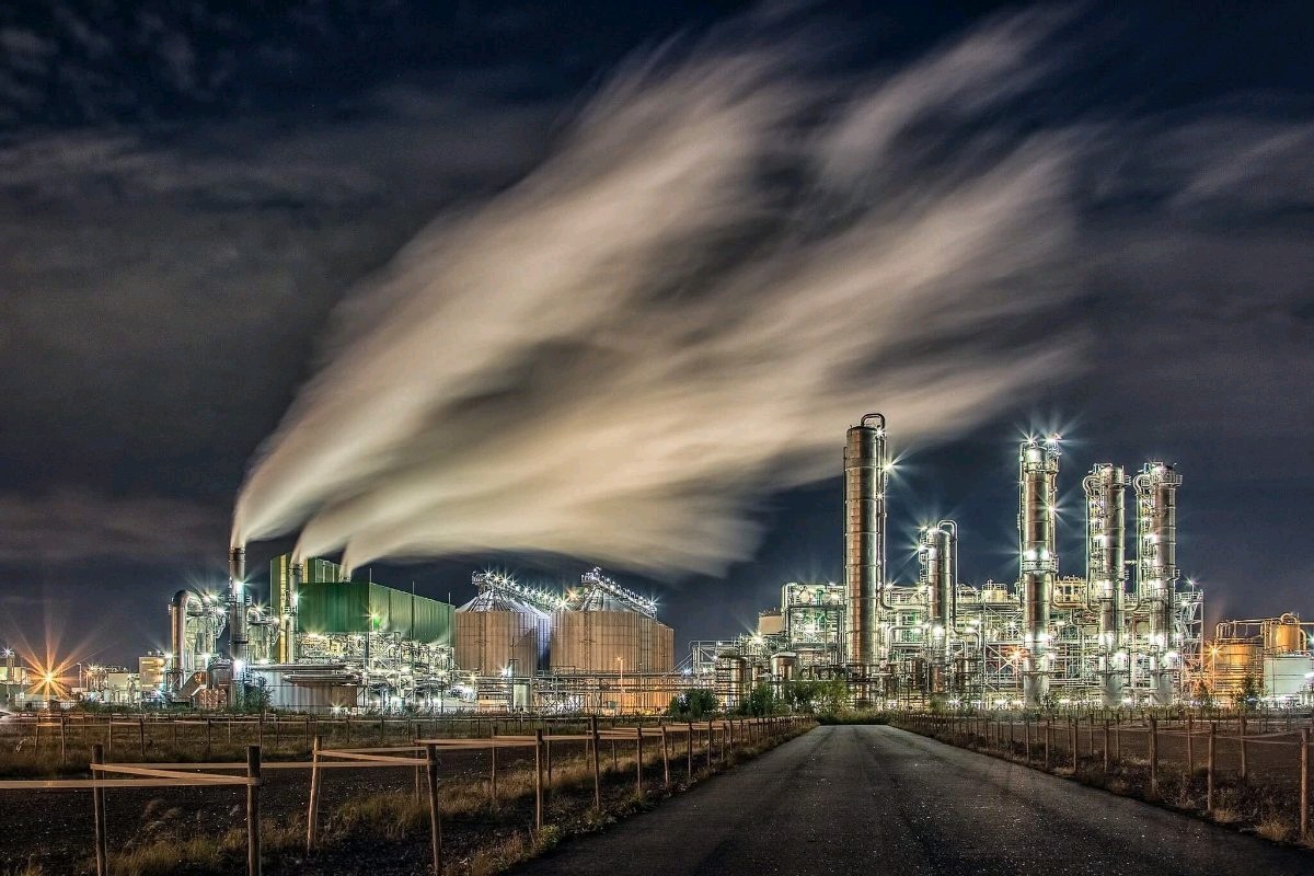 nws1 Plant 2